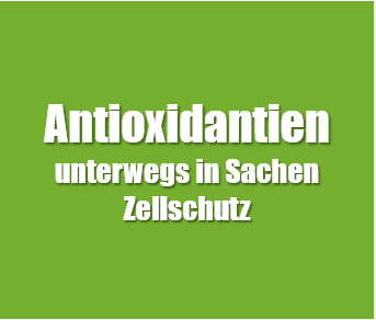 Antioxidantien sind wichtig für unseren Zellschutz und dienen als Radikalfänger